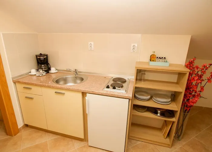 Bondi Apartment